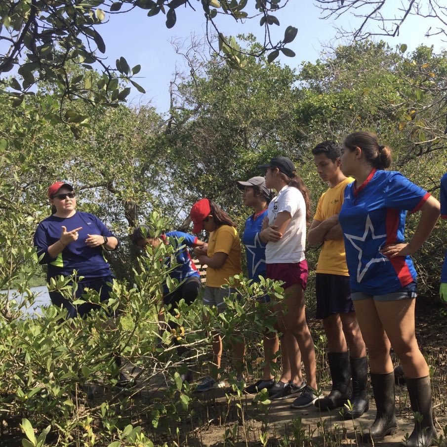 alecontrerascl's tweet photo. Esta mañana 35 jóvenes del Bachillerato @delasallever participaron en la Ruta Didáctica Decidida sobre la Reforestación del Manglar para sensibilizarlos sobre la importancia del ecosistema en el Eco Aula Río del Dorado en #Veracruz ❤️🌱🌎

#ODS15 #GlobalGoals #MYWM https://t.co/wq7Hw3mlJA