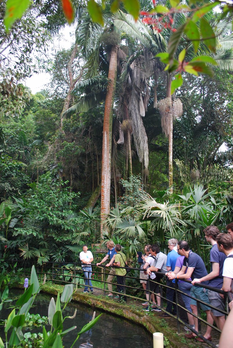 CIRCASAproject's tweet photo. Some pictures of the #CIRCASA2019 annual meeting first day with a beautiful morning walk on the #Nirvana natural reserve.🦜🌴🇨🇴
See you tomorrow for more! https://t.co/gT9wueLVcG