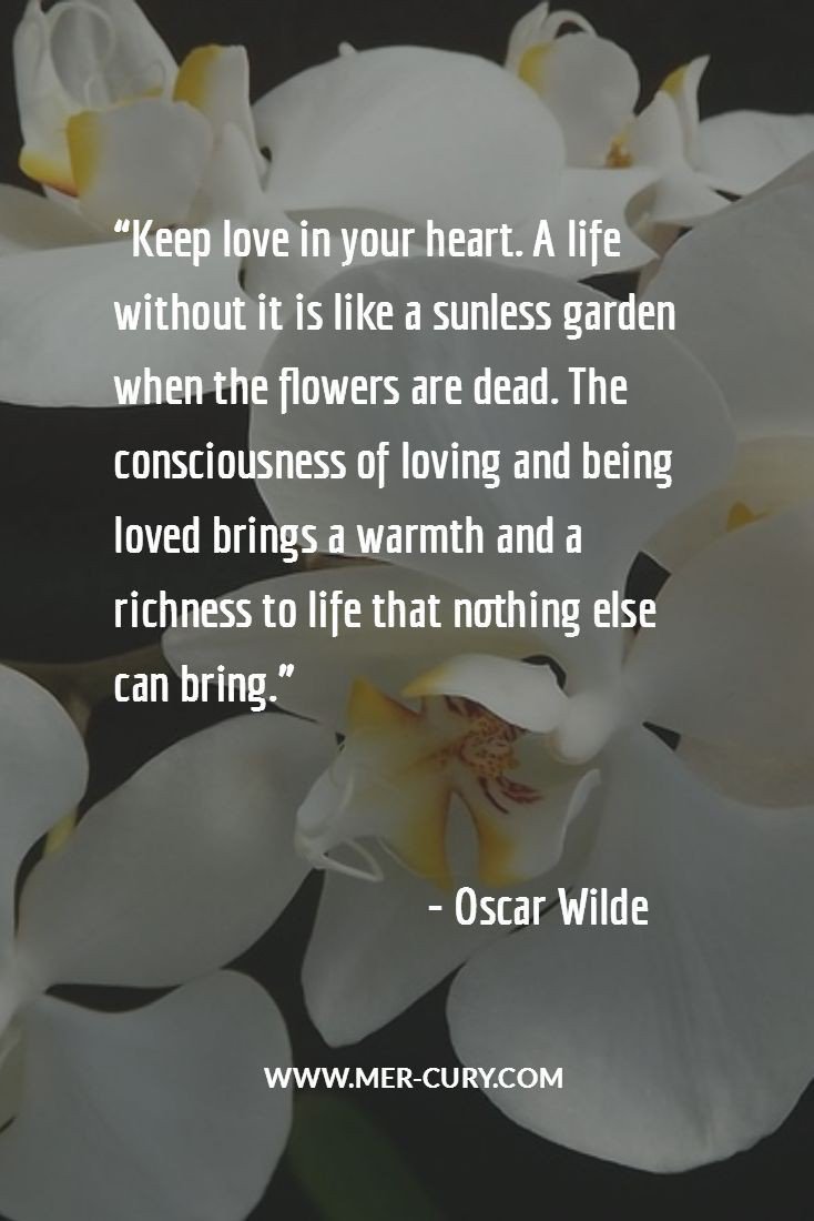 lorax58's tweet image. OW, Wilde &amp;amp; wise.
#KeepItFresh
#KeepItDeep&amp;amp;Cherished
#LoveFliesFree 
#ThursdayThoughts