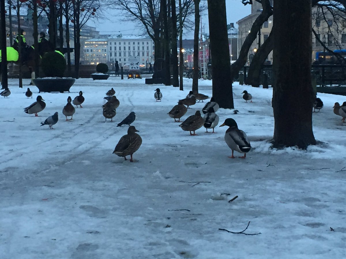 الشر لو كان يأتي بوجهه البشع لتحاشاه أغلب البشر ولكنه في الغالب يأتي بملامح متنكرة وبشكل أنيق وجذاب
محمد الرطيان