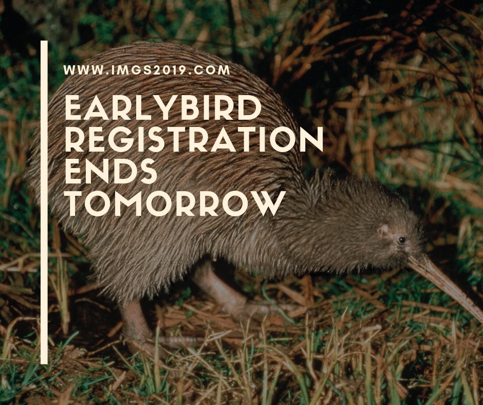 2019Imgs's tweet photo. Don't worry if you're in a different timezone, kiwis are nocturnal. We've got your back. #IMGS2019 https://t.co/Ycpswo9VDl