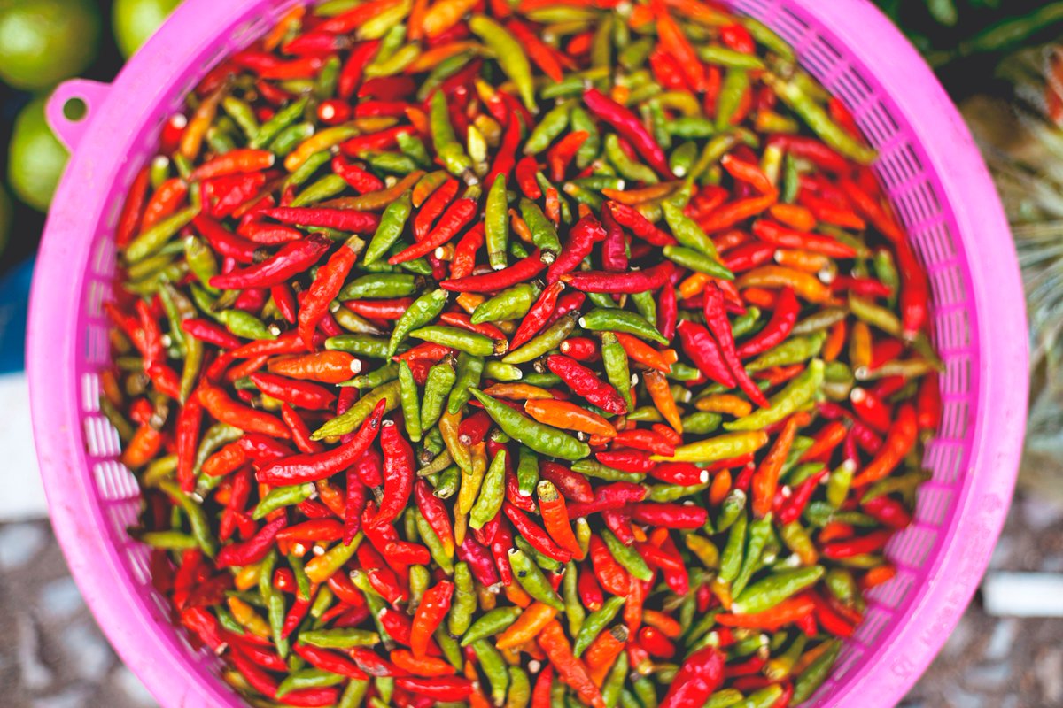 SOUTHiGoa's tweet photo. The chillies used to add that strong punch and exotic spice to the mouth-watering food at @SOUTHiGoa .
.
#Southi #Southigoa #RestaurantsInGoa #SouthIndian #Kerala #keralafood #SouthIndianfood #restaurantsincandolim #FoodofGoa #Sogoa #chillies #Goa #MyGoa https://t.co/W7cNfaUA1p