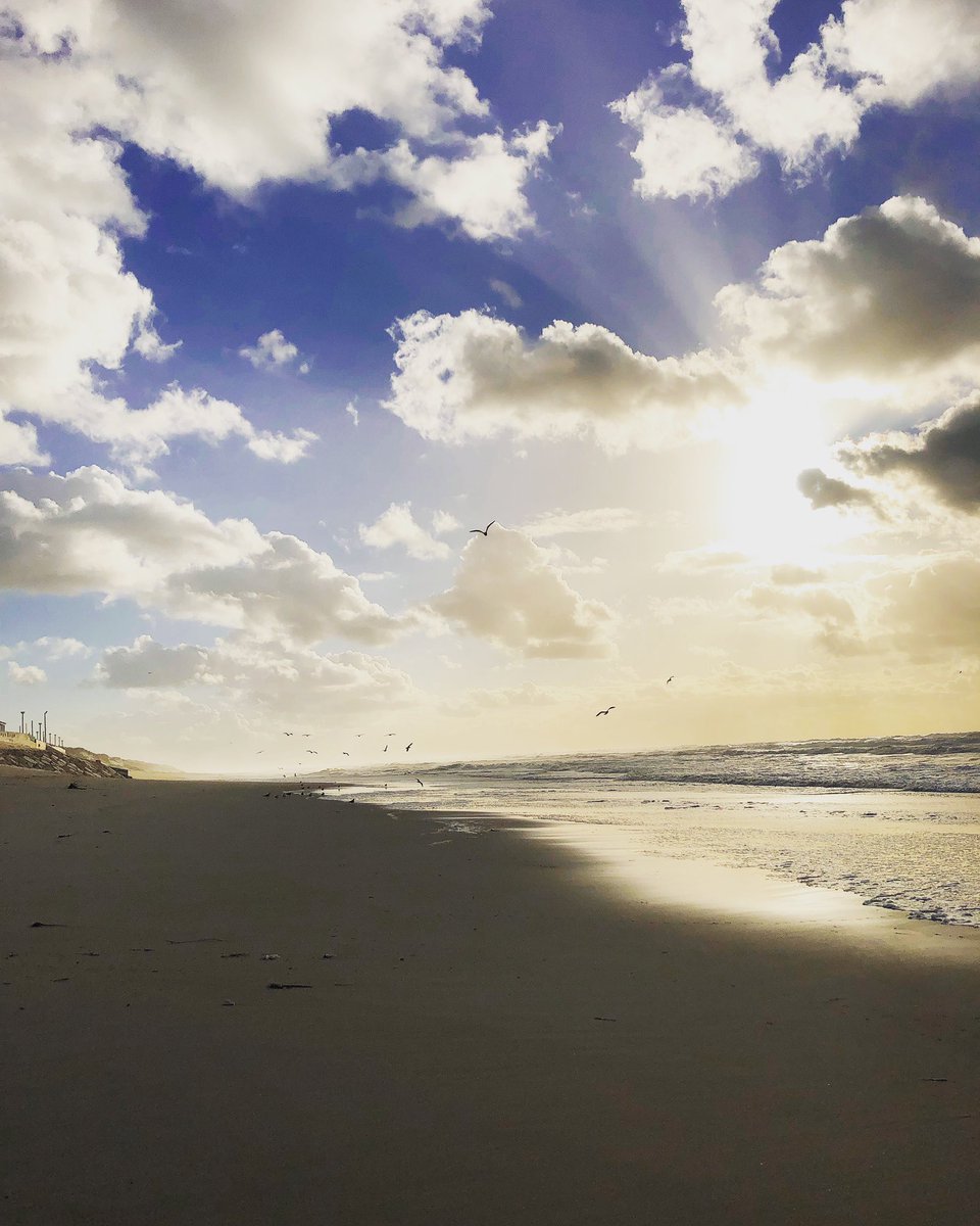 AndreiaVitorin9's tweet photo. Nothing is better for the soul than a corresponding Sea 🖤 #beachlandscape #beach #beachlife #beachwinter #sunsetbeach #beachvibes #beachlove #travel #travelphotography #instatravel #photography #instaphotography #photography #photoshoot #portugal #praiavieiraleiria 🇵🇹📷✈️🌎 https://t.co/hMucI5YGsT