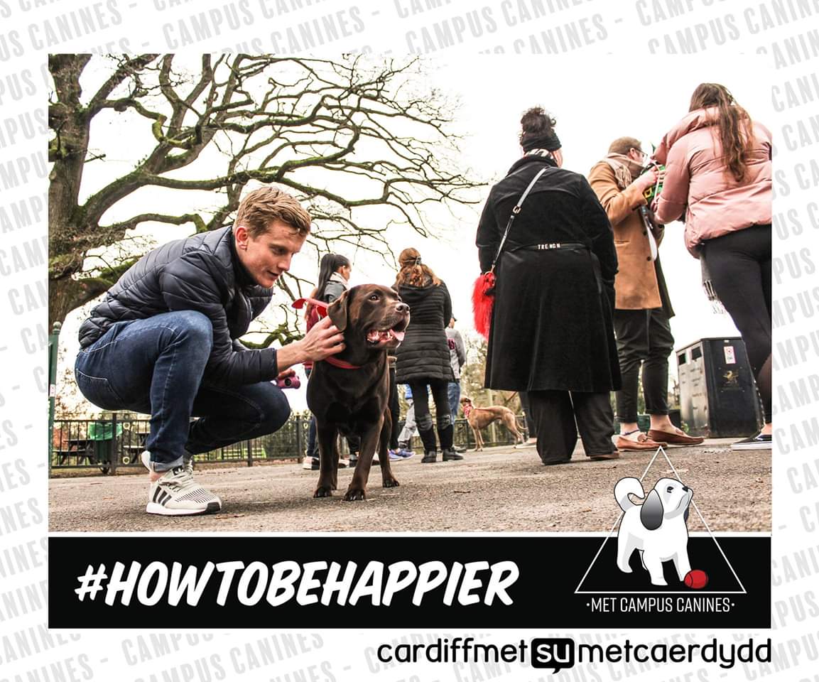 CardiffMetSU's tweet photo. Dogs are back on campus! Come down to Cyncoed SU now till 12. #CampusCanines #HowToBeHappier https://t.co/w1nQilCMQZ