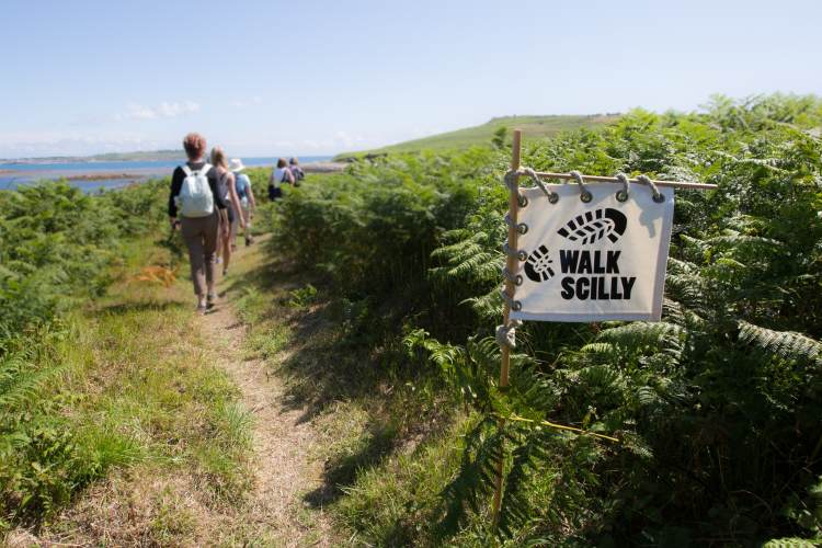 StarCastleHotel's tweet photo. Sneak Peak of the April Walk Scilly programme this year! Tickets go on sale from Monday... 
#visitscilly #walkscilly #walkingholidays
https://t.co/f4CT28dFxh https://t.co/ZehWax0DEw