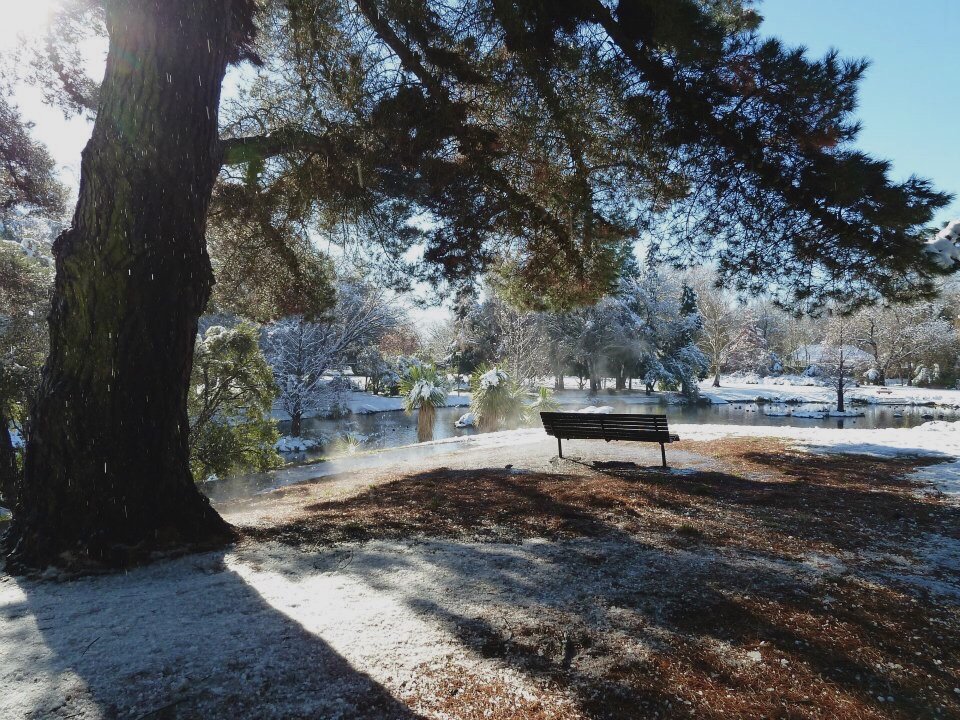 AdrienneSidal's tweet photo. Winter-bound for a week https://t.co/L9CpF5kVyu https://t.co/b5QJV7SvIc