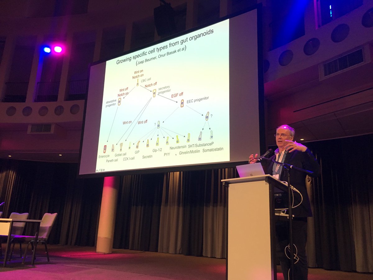 #DEM2019 just started with a phenomenal presentation by Hans Clevers!