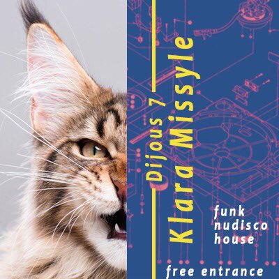 Hoy jueves arrancamos la programacion de febrero con Klara Missyle, funk,nudisco,house