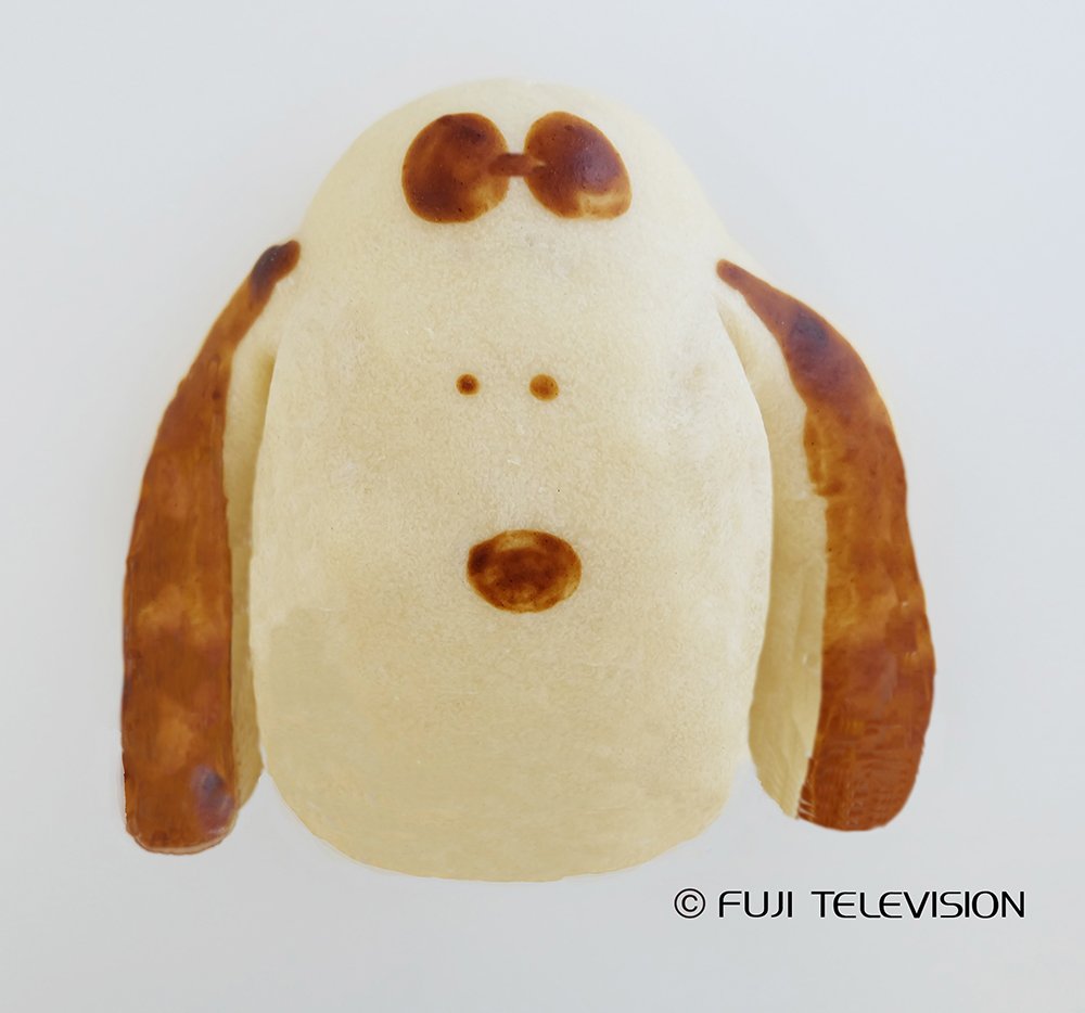 子犬のラフちゃん Twitter Search 子犬のラフちゃん Twitter Search