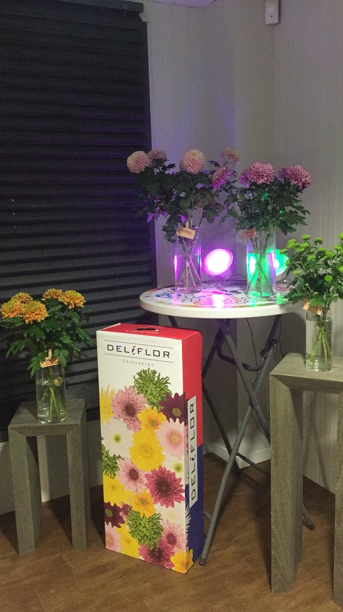 Delidisco <a href="/hovenendemooij/">Hoven en de Mooij</a>  nieuwe soorten gezien bij Deliflor nu in de showroom