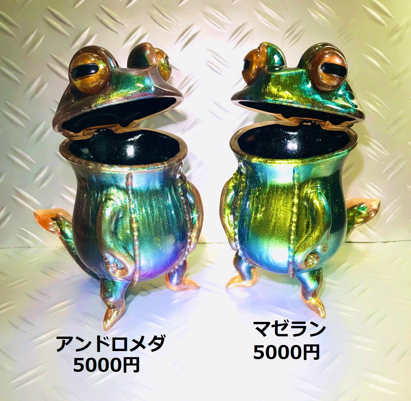 ウツボカエル マゼラン スカルチュラ