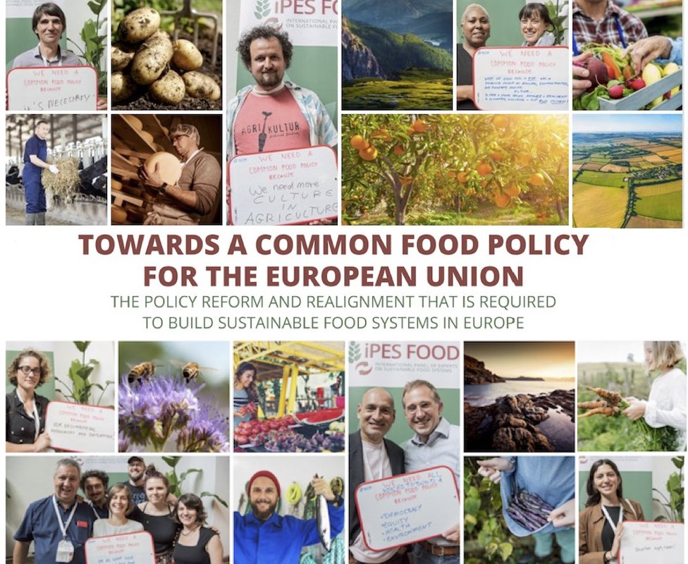 IPES-Food tweet media