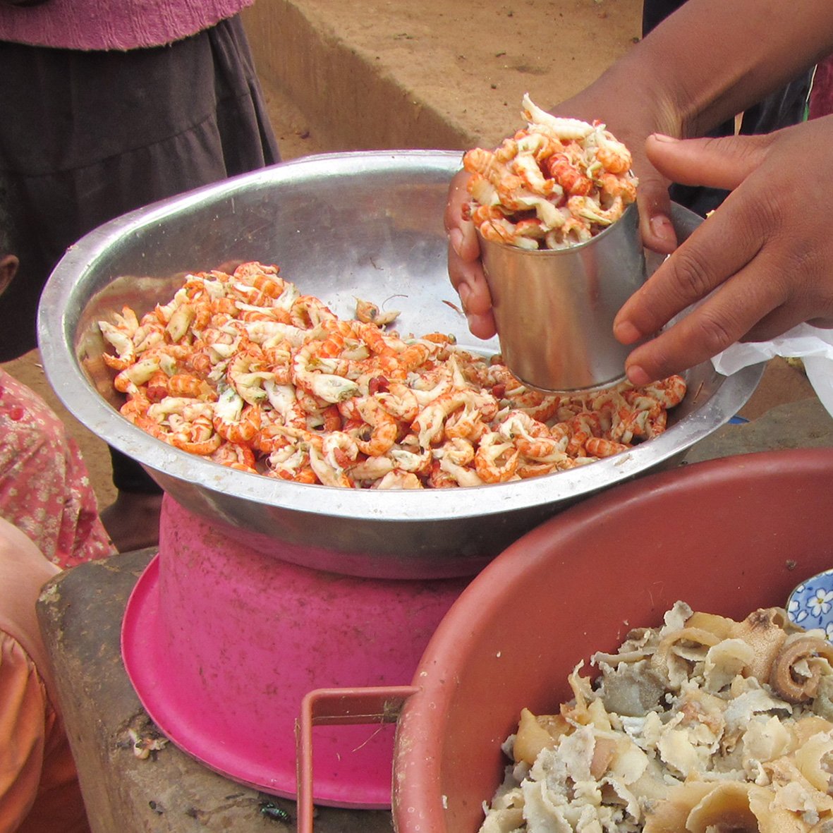 Ecological plasticity facilitates farming of marbled crayfish in Madagascar. Check out our new paper: rdcu.be/blB9M