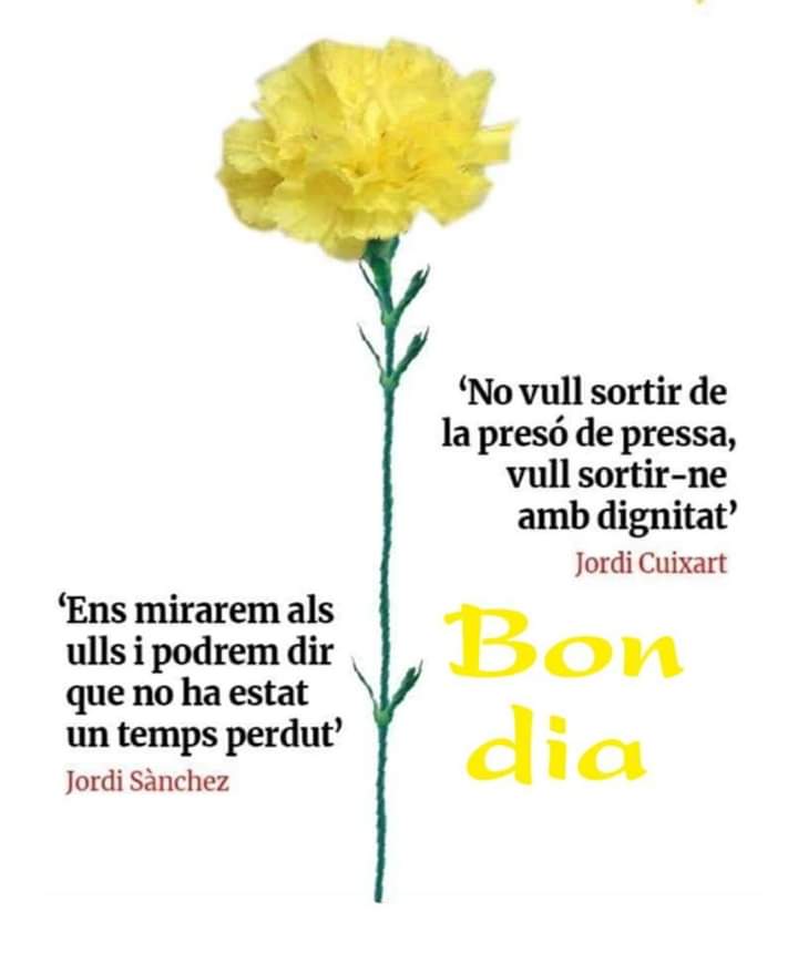 Crocultura على تويتر Molt Bon Dia Geno Seguim Https T Co Z1ttgpup4g