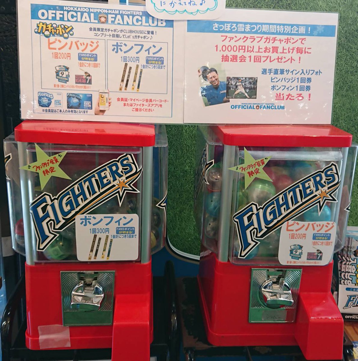 日本ハムファイターズ ファンクラブ ガチャガチャ ボンフィンセット ガチャポン😍ポン😍／ 雪まつり会場ファイターズブース、ON-DECK
