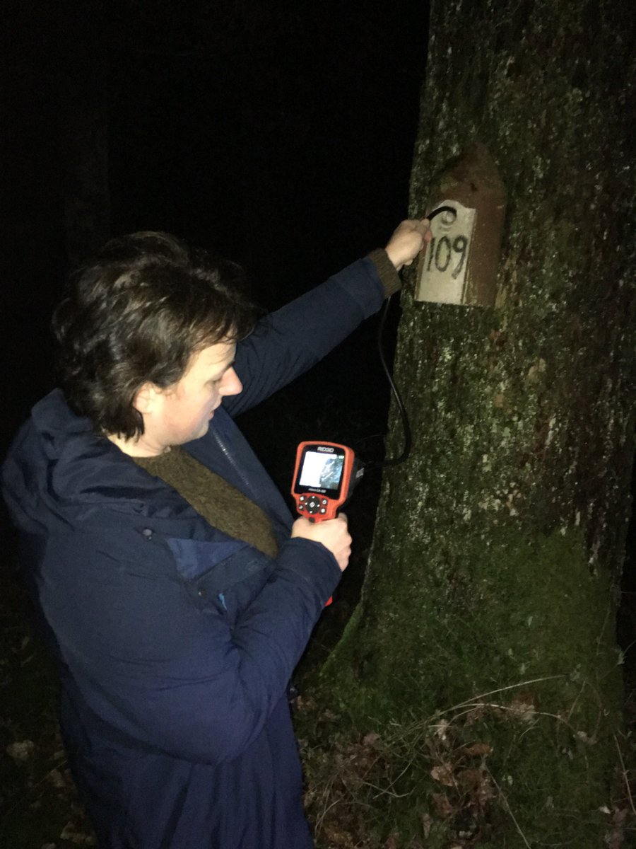 Spent a lovely evening in the woods @sceneUofG checking what birds are up to at night with this neat endoscope.