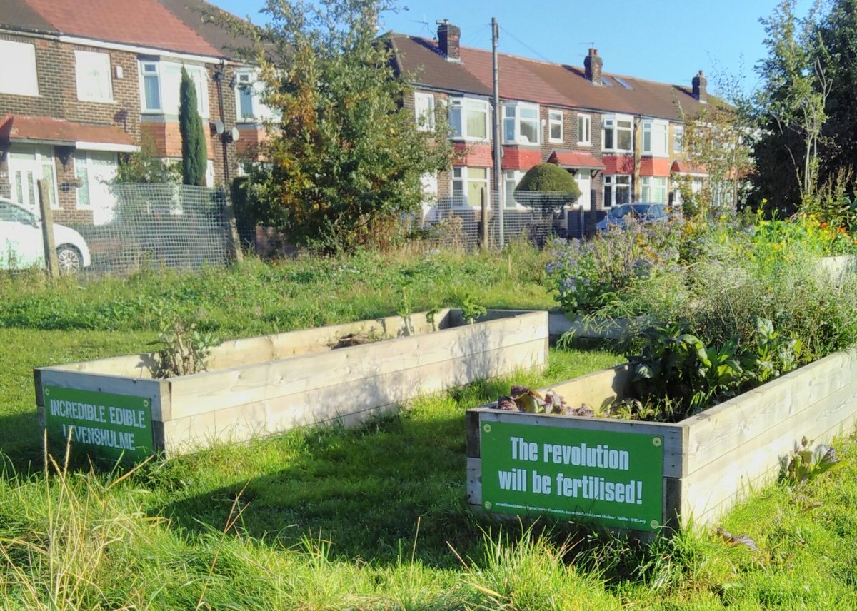 BudGardenCentre's tweet photo. Join me &amp; @IELevy on Sun 24th Feb, and help to transform the raised beds on the Fallowfield Loop. We'll be: 
Adding fresh topsoil
Adding grit &amp; planting herbs
Replanting fruit bushes/rhubarb/artichokes
Planting perennial vegetables &amp; flowering plants 

https://t.co/7m1it0BpT6 https://t.co/ecG0ml4r7D