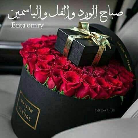 كبلز للسناجل الراقيه (@nurdzerkoh2ns9u) on Twitter photo 