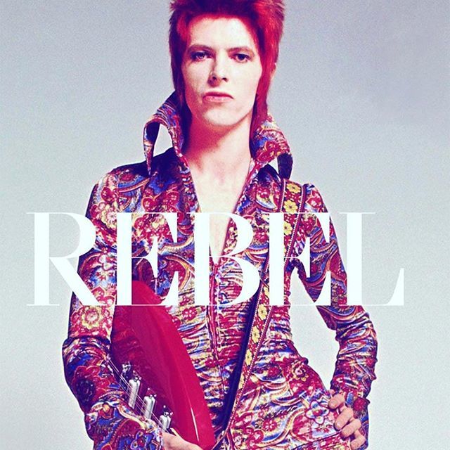 BowieCollective's tweet photo. Be a Superhuman.
.
#thebowiecollective #★ #thebest #bowieshow #on #themoon #earth #mars #venus #davidbowieis #superhuman #commanderof #thebowieverserulesok #black #spider #starsunite #forjustonenight #lovecleansthemind #happinessisthemindhappening #… https://t.co/5cQpKACS5w https://t.co/k1U6mSQLDf
