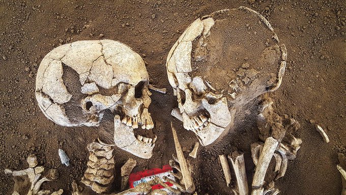 View image on Twitter