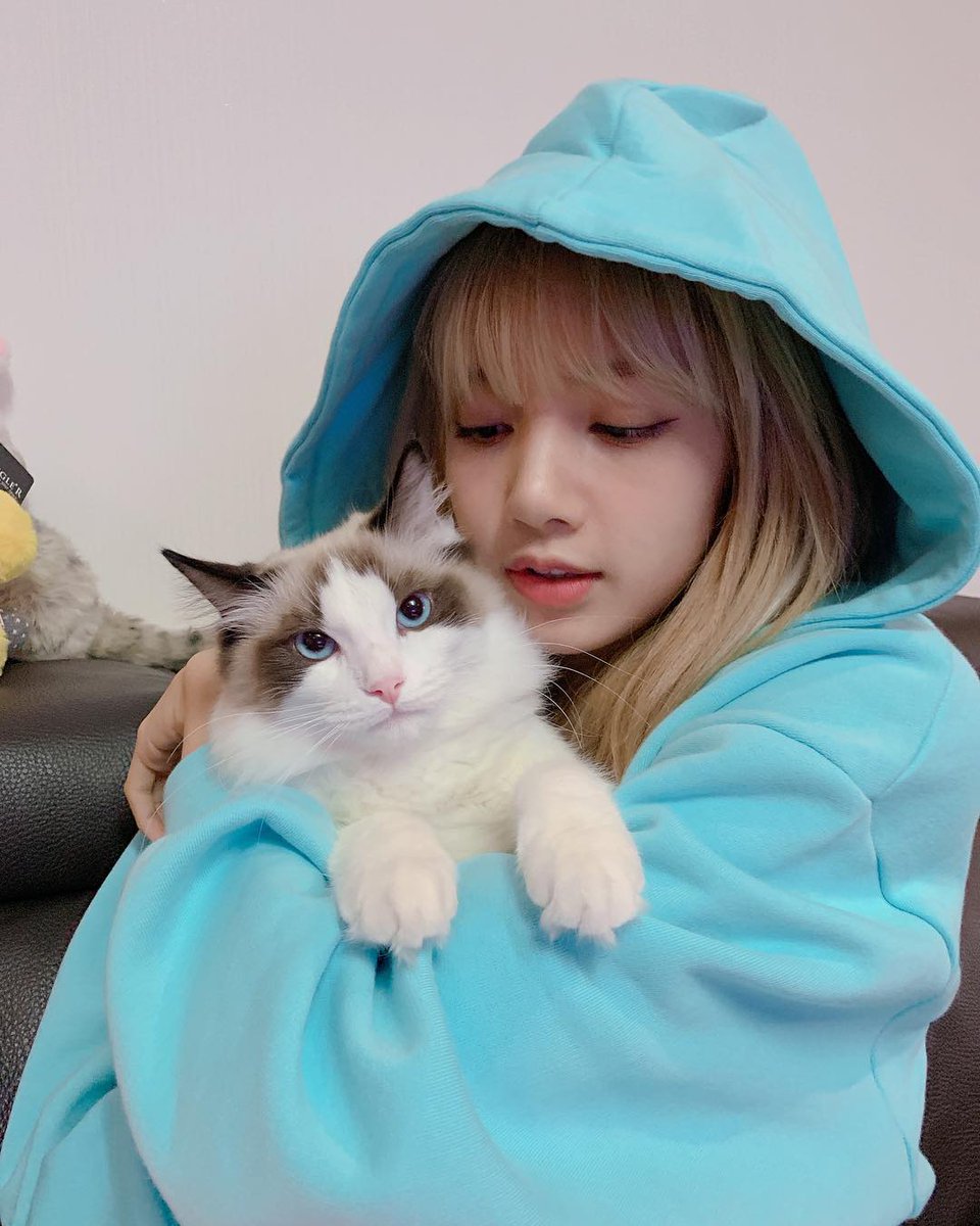 LALISA LOVE ME ❤ tweet media