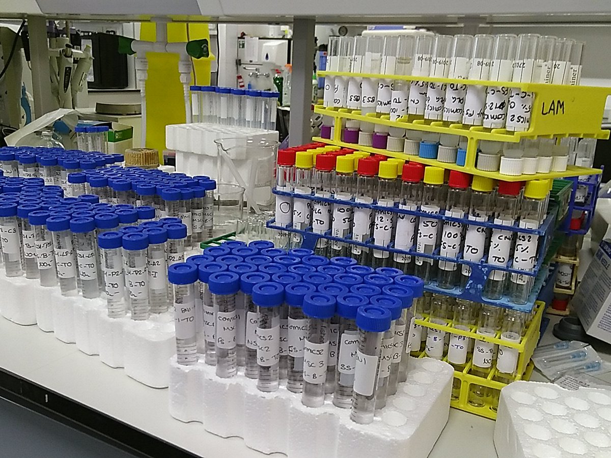 Victoria Hemsley (@vs_hemsley) on Twitter photo Some of our samples from <a href="/COMICS_Carbon/">COMICS project</a> all at different stages of nitrogen conversion #nitrogencycle Some of our samples from <a href="/COMICS_Carbon/">COMICS project</a> all at different stages of nitrogen conversion #nitrogencycle