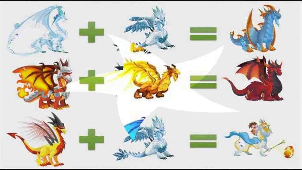 dragon city eggs combination dragon city eggs combination