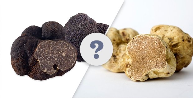 paradadelcompte's tweet photo. 🤔 ¿Sabías que en España se encuentran cuatro tipos de trufas?

✅ La negra de invierno o Périgor
✅ La Tuber brumale o Borde
✅ La negra de otoño o Tuber Uncinatum
✅ La de verano o blanca Tuber Aestivum.

¡Ven a disfrutar de la #TrufaTeruel llamando al ☎ 978 07 90 25! https://t.co/1F9sLzFrVZ