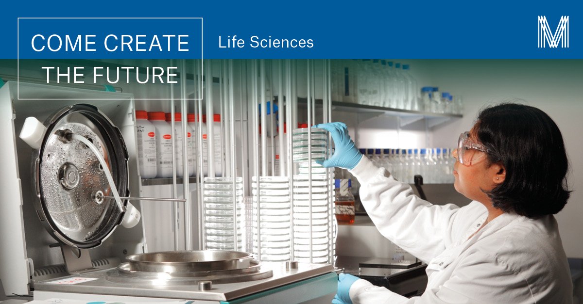 Invest Manchester tweet media