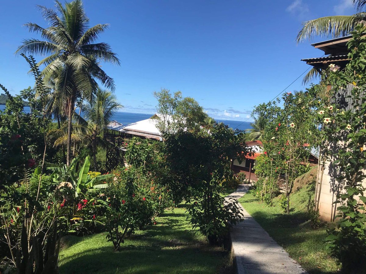 lianna_ladore's tweet image. My cousin takes such pretty pics back home. This is our view from Nan Kepiniak, Awak, no filter whatsoever. This is where our Wilson &amp;amp; Cantero bloodline grew up. So many great memories at this place &amp;amp; I honestly can’t wait to go back this year. 🥰❤️ #Pohnpei