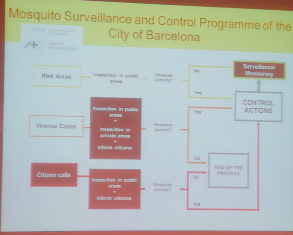 CCiutadana's tweet photo. @AitanaOltra de @Mosquito_Alert #projecteOficina presenta la recerca de @CEABCSIC @CREAF_ecologia amb la @salutpublicabcn per detectar i controlar el mosquit tigre a la ciutat de #Barcelona https://t.co/5pF36Ovt04