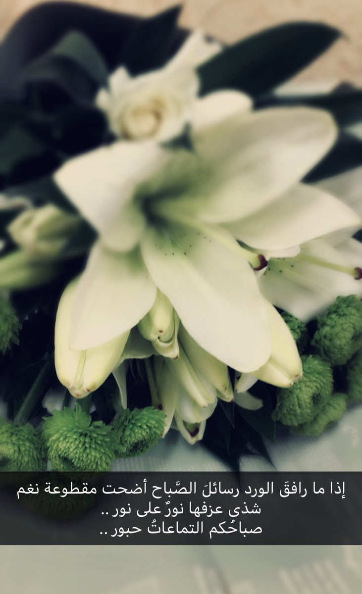 pretty5rose's tweet photo. إذا ما رافقَ الورد رسائلَ الصَّباح أضحت مقطوعة نغم شذى عزفها نورٌ على نور ..
صباحُكم التماعاتُ حبور ..
#صمت_الجوى 
#صورة_اليوم https://t.co/8deW4XwOx4