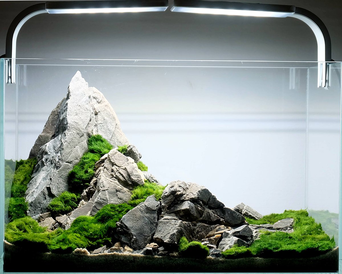 Set up the table In detail desk Twitter 上的 Aquaman Design:"#Aranżacja wykonana z kamieni Ancient Stone + #cladophora do #akwarium 40x25x25cm, do #aranżacji wysłany zostaje Tutorial do samodzielnego odwzorowania, również #roślinyakwariowe należy przykleić samodzielnie, #klej ... Set up the table In detail desk Twitter 上的 Aquaman Design:"#Aranżacja wykonana z kamieni Ancient Stone + #cladophora do #akwarium 40x25x25cm, do #aranżacji wysłany zostaje Tutorial do samodzielnego odwzorowania, również #roślinyakwariowe należy przykleić samodzielnie, #klej ...