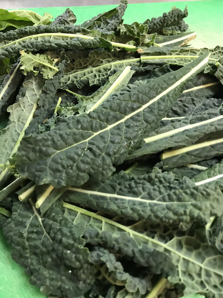 ATXtrinityChef's tweet image. Freshly picked Kale just feet from the dining hall ! Come get some on the salad bar today ! The students have worked hard on growing this ! @austintrinity
