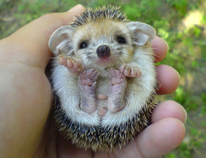 poklonime's tweet photo. Malo da vam uljepšamo dan. 😍❤ https://t.co/uQG6NAC2Jr