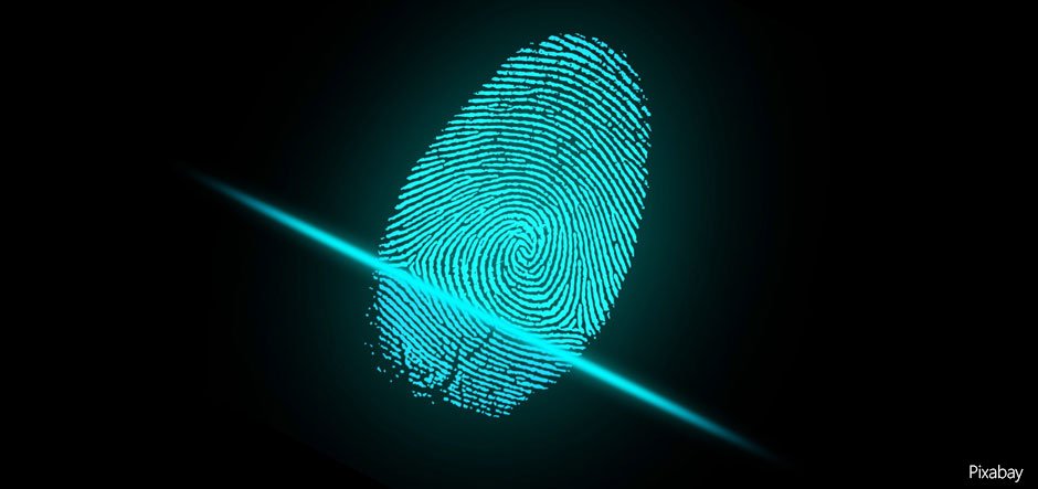 tech_record's tweet image. Customers will be able to access @sinerixlimited's e-signature and ID verification software, #SecureSign, which works directly with @Microsoft @Office365 apps, through @GreyMatter_News. Read more: ow.ly/Ft9P30nC0l3