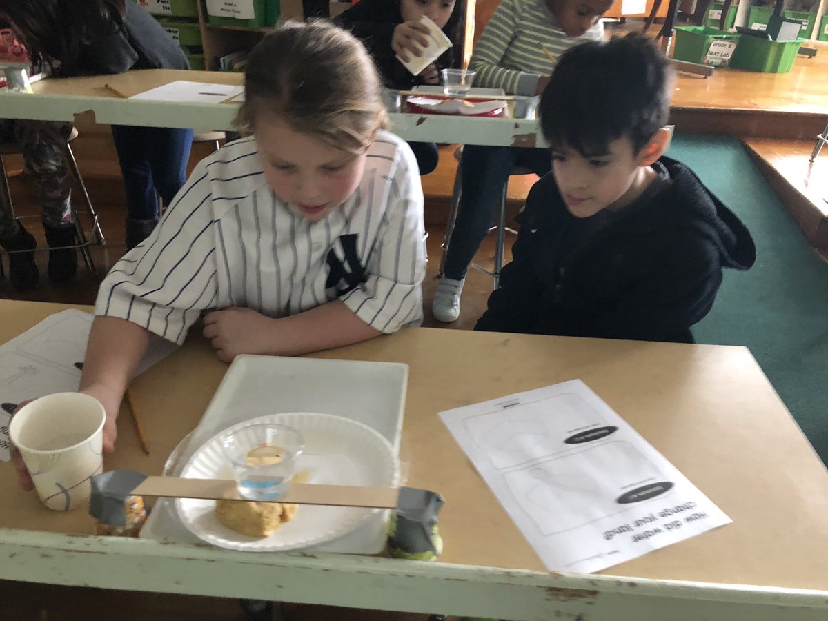 cammclan5's tweet photo. Experimenting in the Science Lab to see How Water Changes Our Land! #mrscamaratarocks #scientists #landchanges #weathering https://t.co/23lTT5uUPs