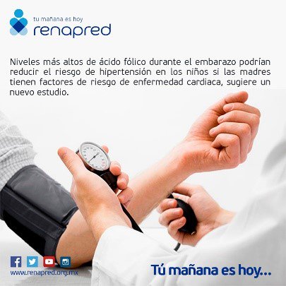 renapred_mexico's tweet photo. Niveles más altos de #ÁcidoFólico durante el#Embarazo podrían reducir el riesgo de hipertensión en los niños si las madres tienen factores de riesgo de enfermedad cardíaca, sugiere un nuevo estudio.#TuMañanaesHoy. Para más información visita: https://t.co/rVqgjHjxUK https://t.co/GyLG7siWsf