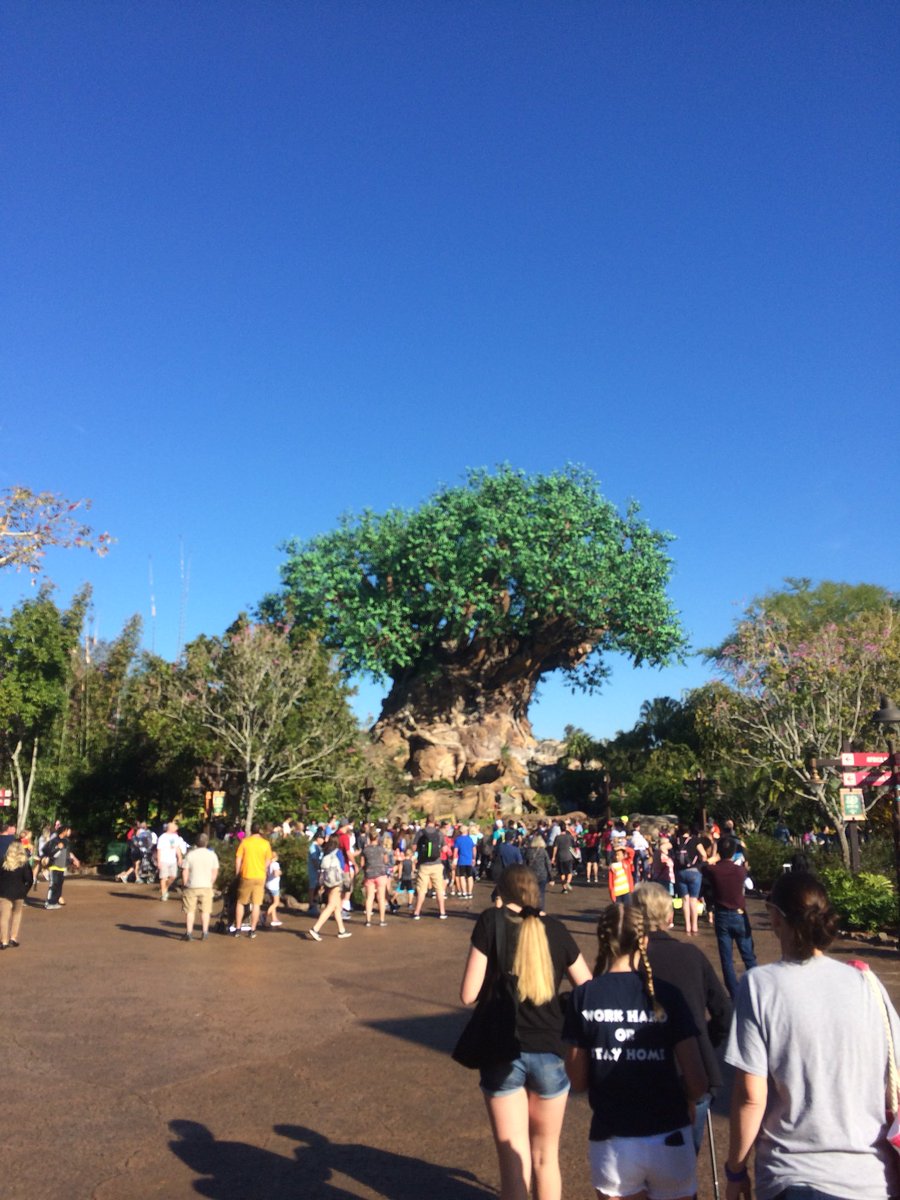 DanisonRandy's tweet photo. What a great view this morning. @DisneyAnimalK https://t.co/xTEFgV6p22