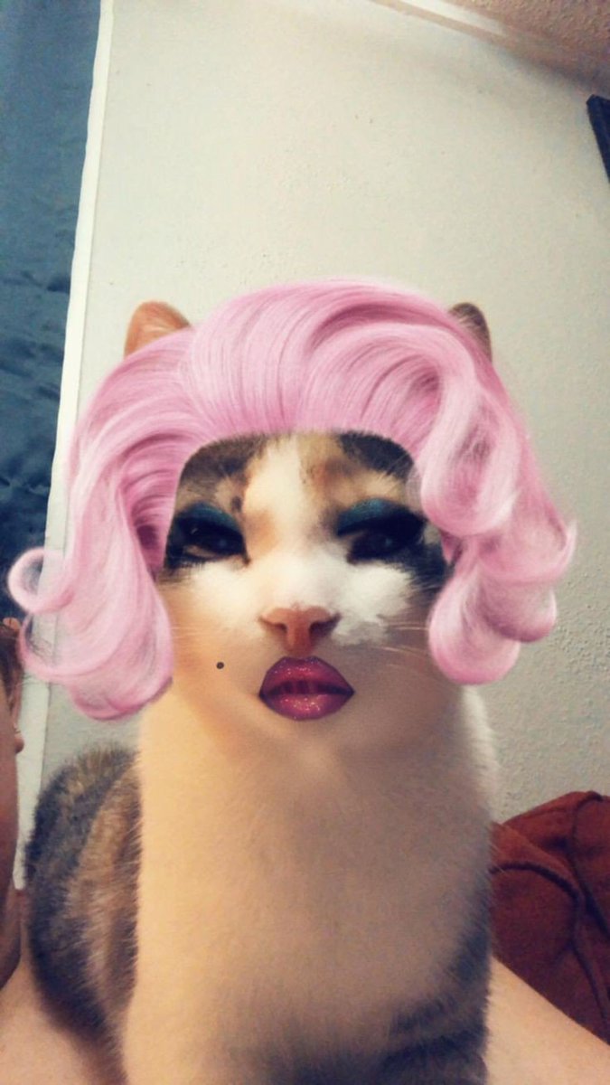 MerakiNikki's tweet photo. #KonjeIPhoneUsers be taking selfie's like 😂🤣😂😂🤣 https://t.co/58iOxfZXBM