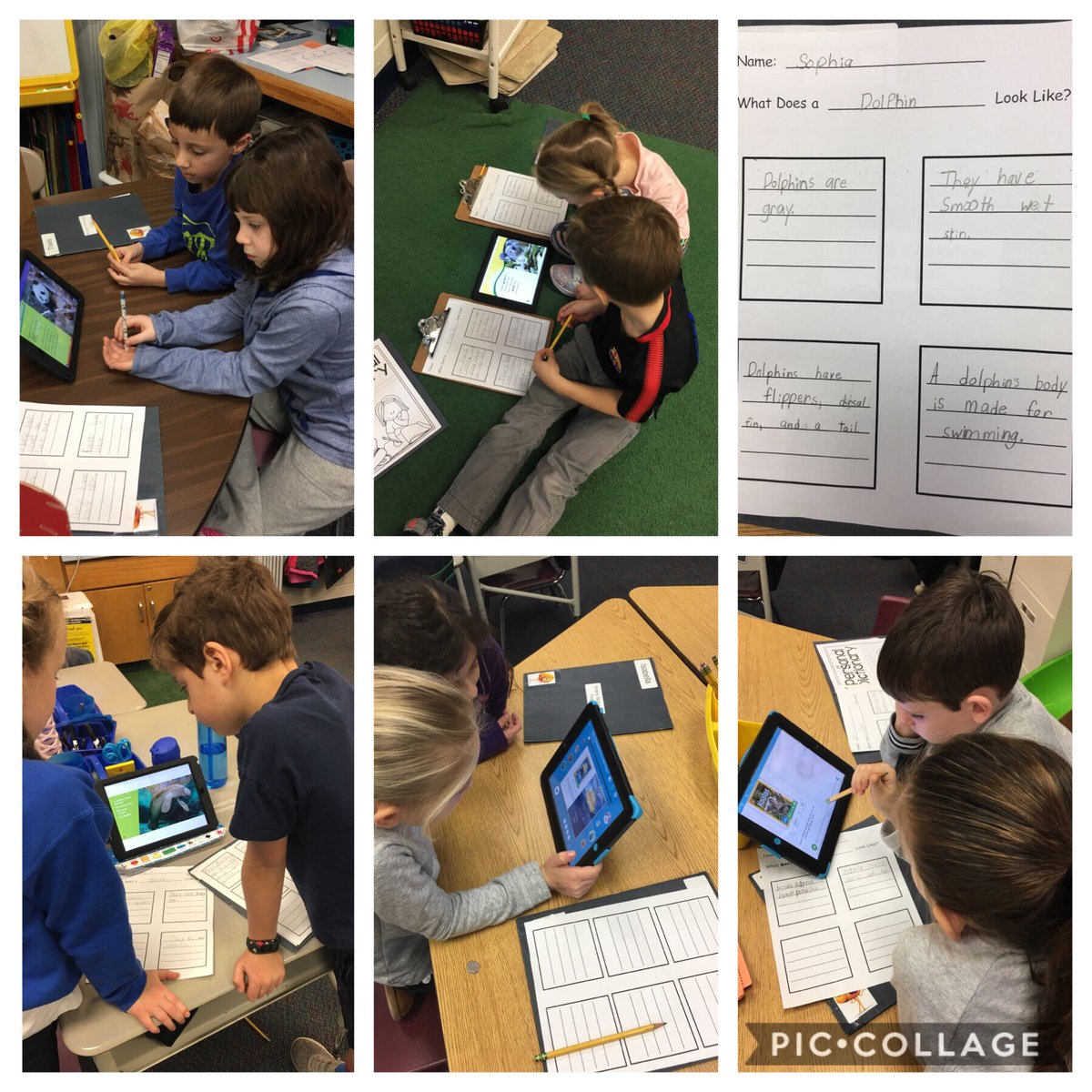 Collecting facts about what their mammals look like by using @EpicKidsBooks #firstgrade #mammalresearch #nonfictionwriting