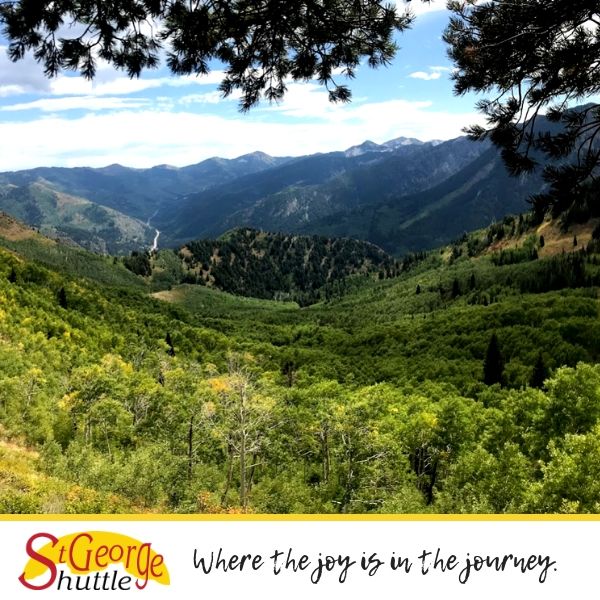 STGShuttle's tweet image. Who's dreaming of warmer temperatures today? ✋