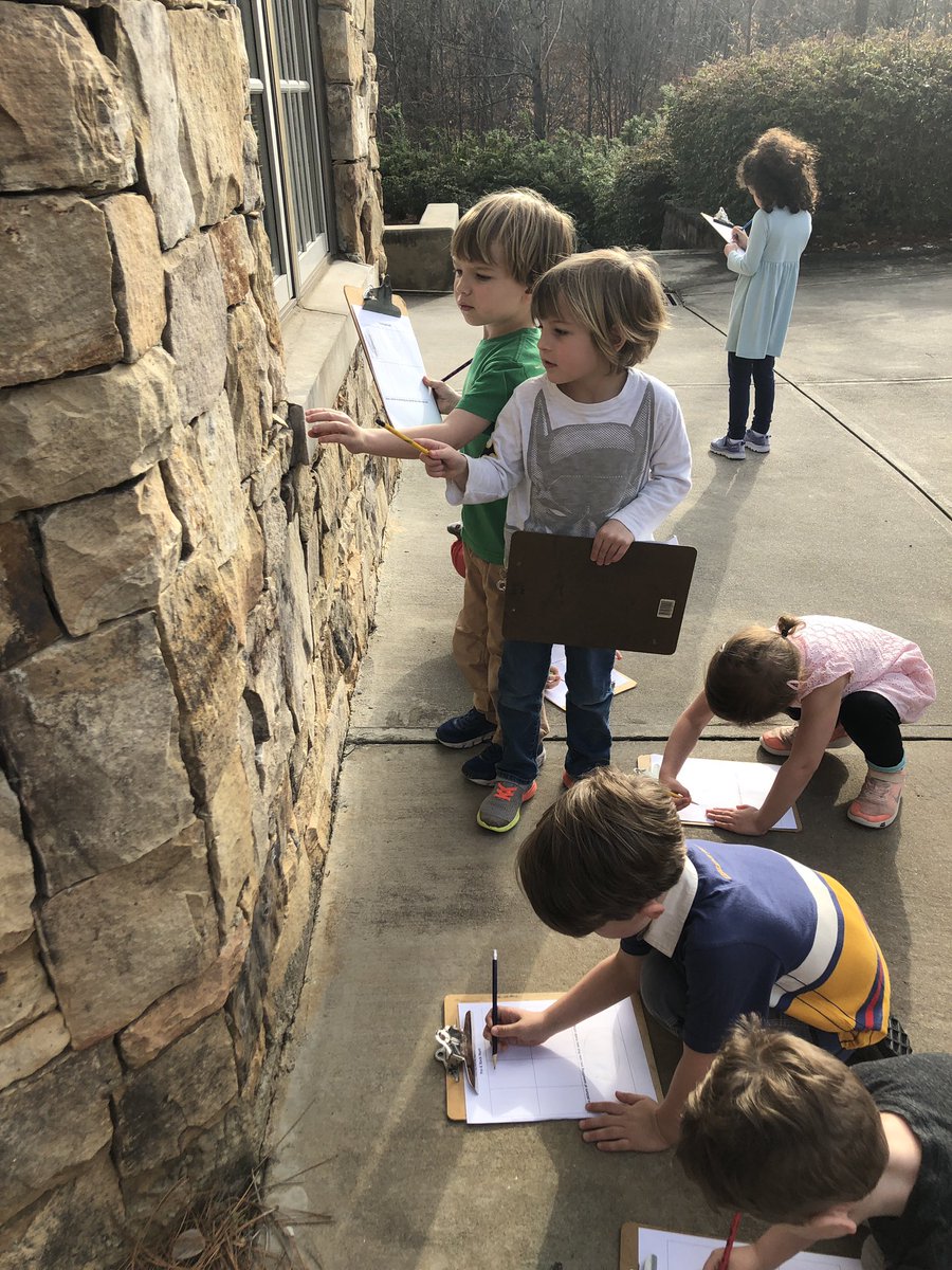 Dana Chambliss tweet media