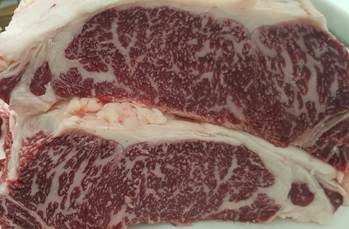 Best beef in the world 😍#wagyu #highlandwagyu #scottish