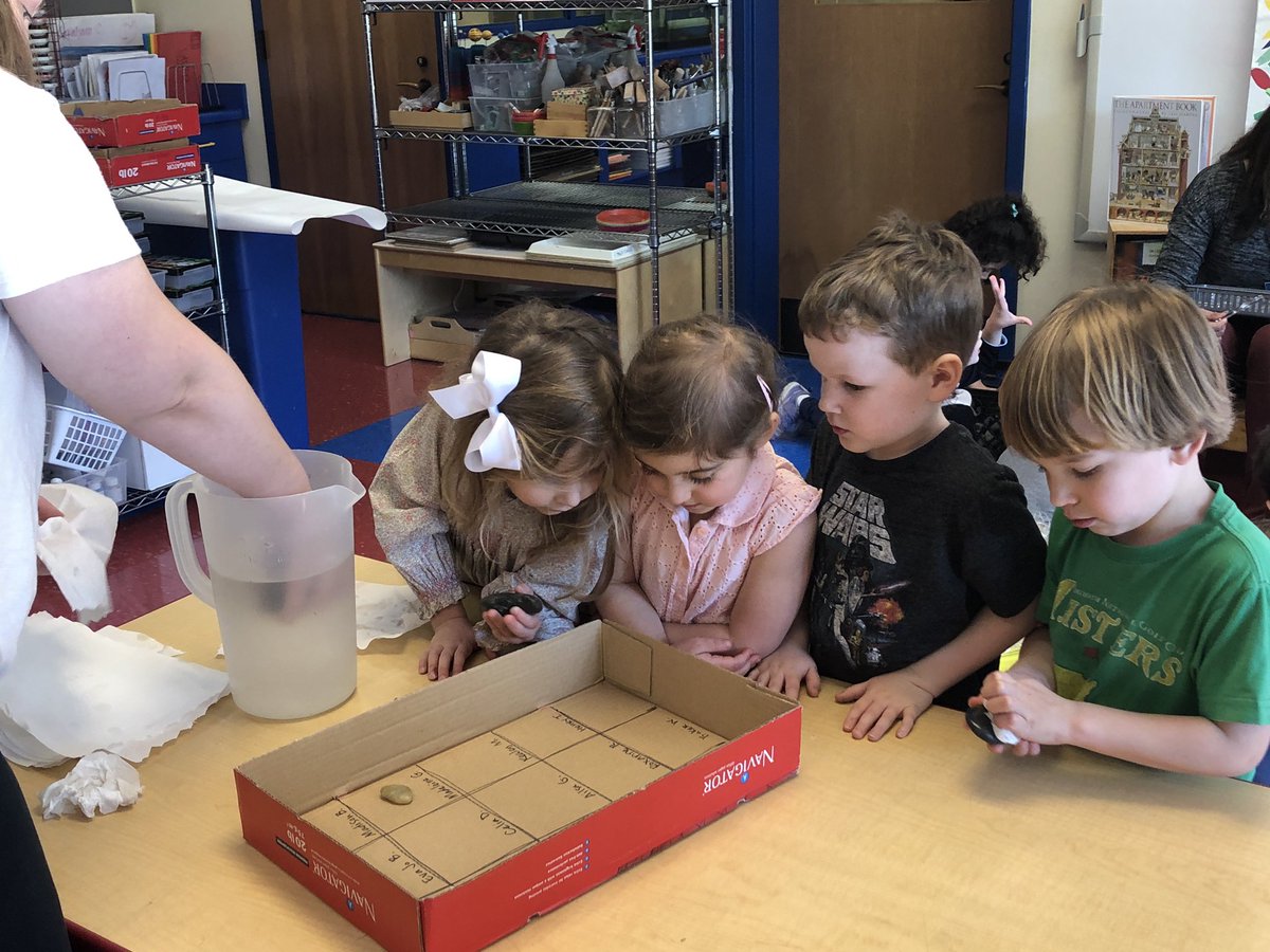 Dana Chambliss tweet media