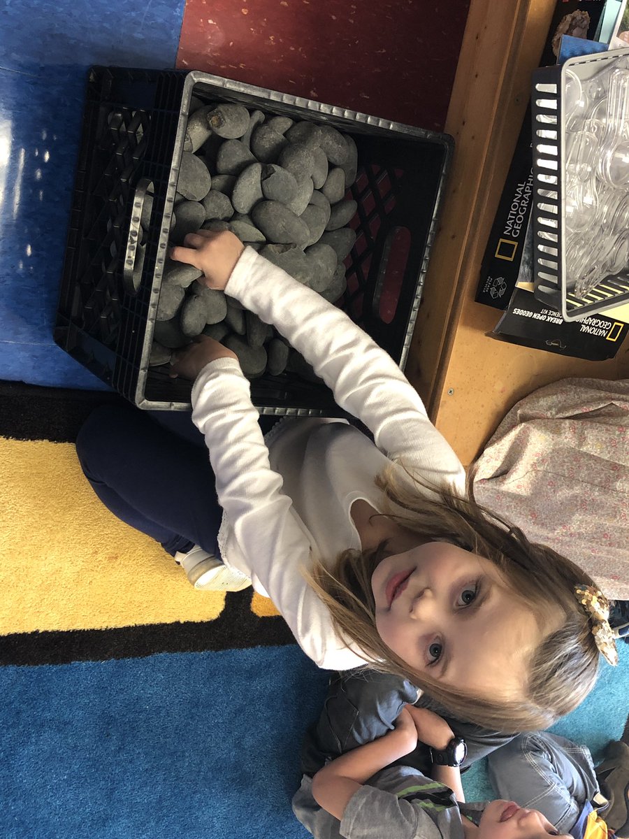 Dana Chambliss tweet media