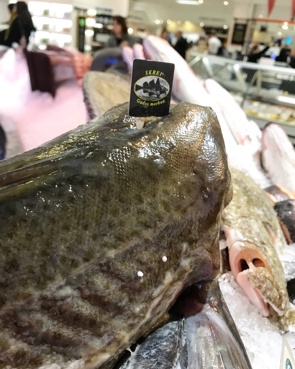 selfridges fish tweet media