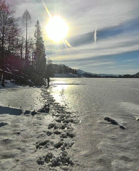 At 974 m, in a vast plain surrounded by woods, lies #LakeSerraia, the main lake in the municipality of #BaselgadiPine in #TrentinoAltoAdige. Its perimeter is marked by an easy path that connects it to the other lake of the plateau

#ilikemylake #lagodiserraia

Pic: igor_shady