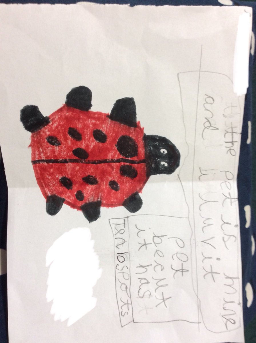 HeadWalwayne's tweet photo. I love that so many children are choosing to write across Owls unit. This superstar has a bit of maths (symmetry and counting) in with her writing. Very impressed. https://t.co/NhqwQ9fKPa