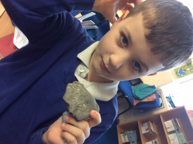 Launcelot Primary tweet media